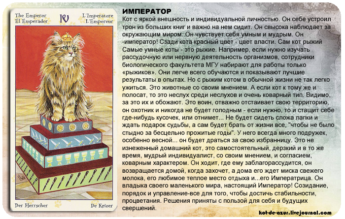 Значение колоды таро белых котов. таро белых кошек: расклады и значения карт