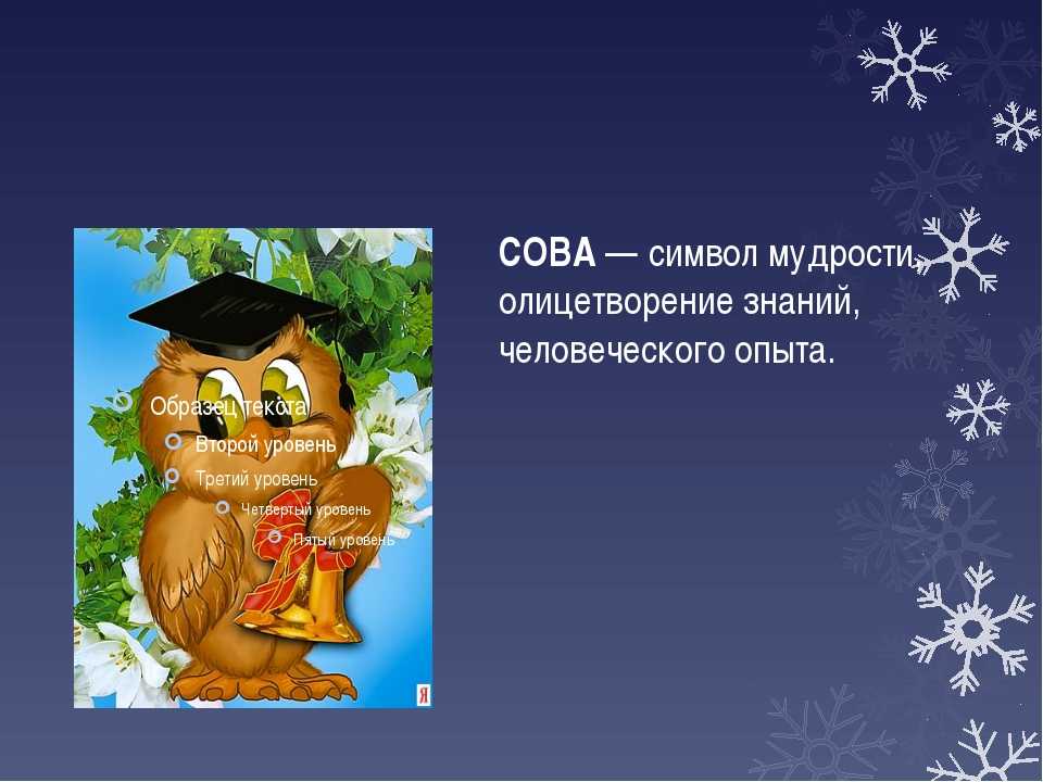Символ сова: значение талисмана