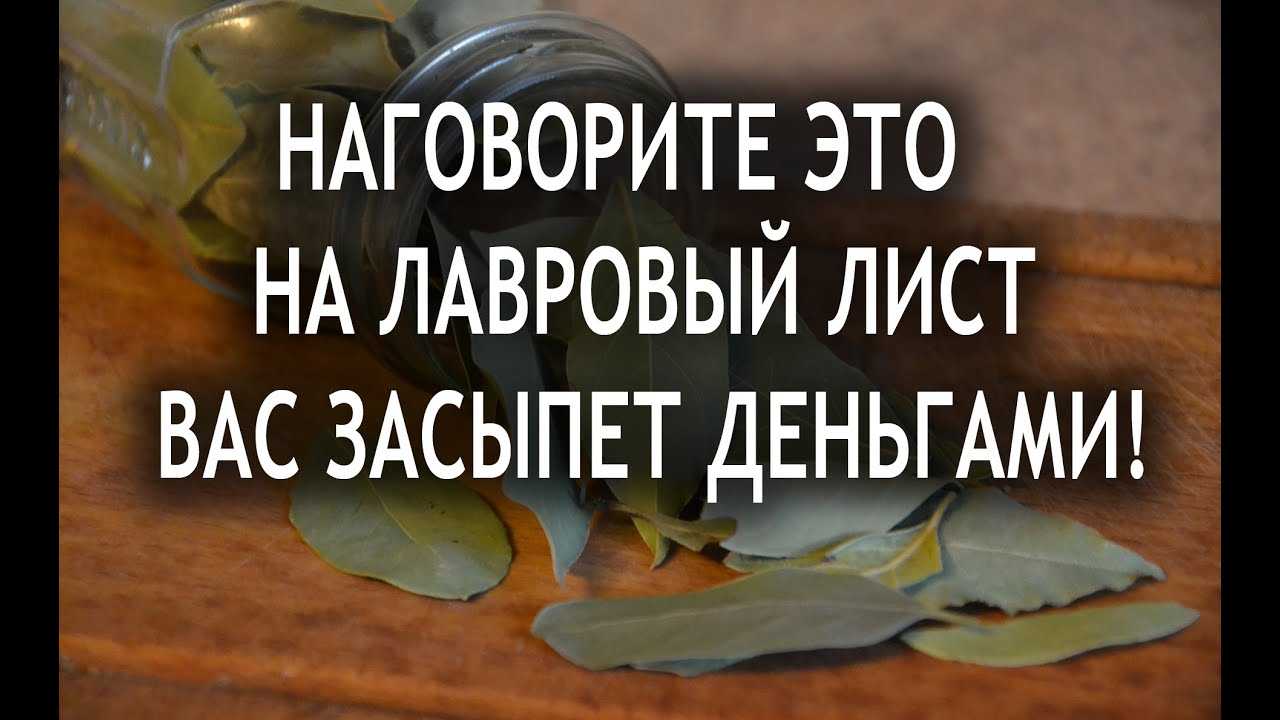 Лавровый лист в кошельке — самый мощный денежный магнит