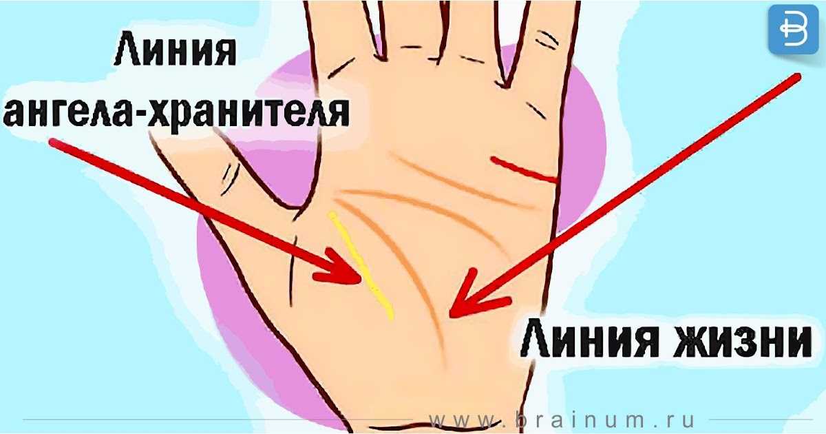 Линия ангела хранителя на руке: значение, фото