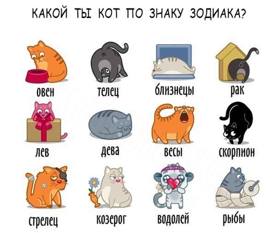 Знаки зодиака как музыкальные группы. музыкальный гороскоп- знаки зодиака в музыке