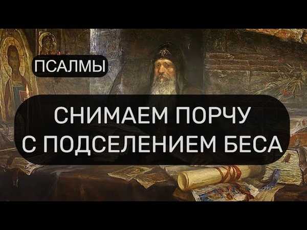 Подселенцы | школа магии забытые знания