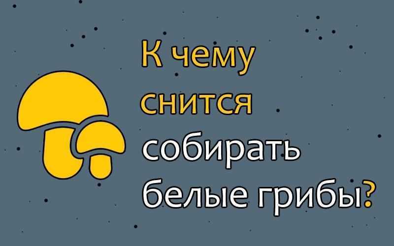 К чему снятся грибы: толкование грибных снов в популярных сонниках для женщин и мужчин