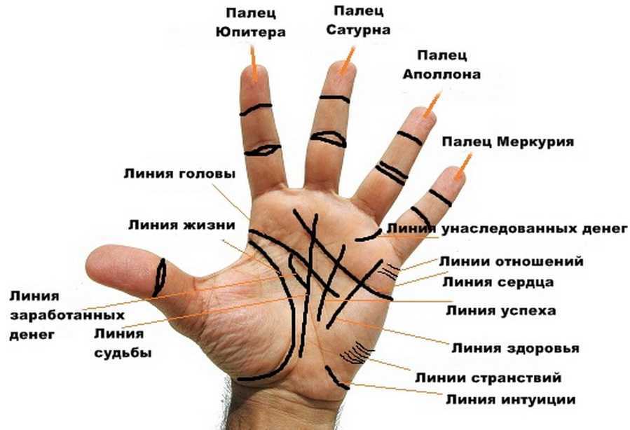 Хиромантия: значение треугольника на линии жизни, сердца и ума