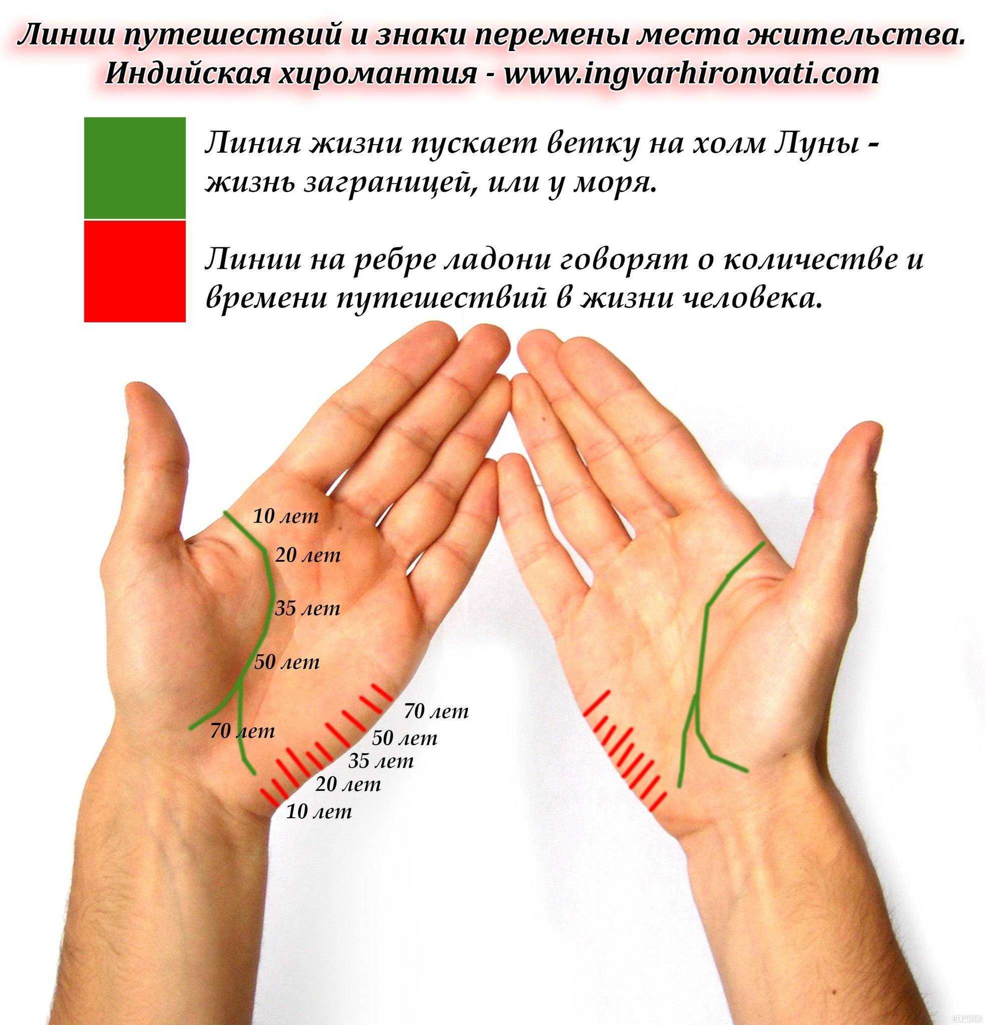 Хиромантия: о чем расскажут линии на руке? - лакшми-амея блог
