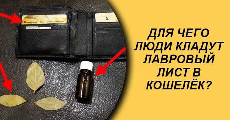 Лавровый лист магические свойства | практическая эзотерика
