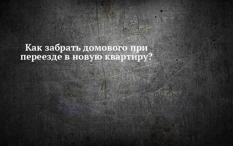 Как задобрить домового и подружиться: полезные советы