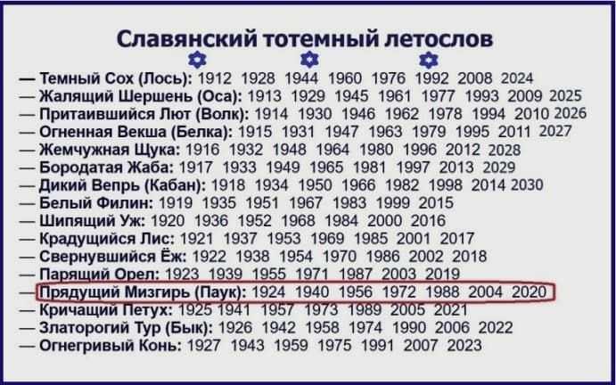 Славянский гороскоп животных по годам и месяцам, 2024 год златорогого тура, что ждать, как встречать, что готовить на стол