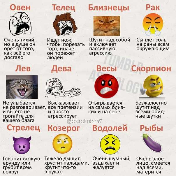 Алкогороскоп по знакам зодиака: это интересно! → мир гороскопов