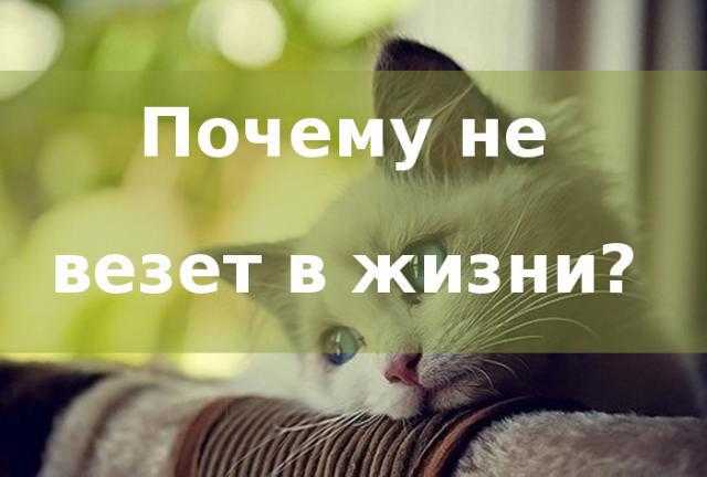 Нумерология совместимости по числу судьбы - блог лакшми-амея