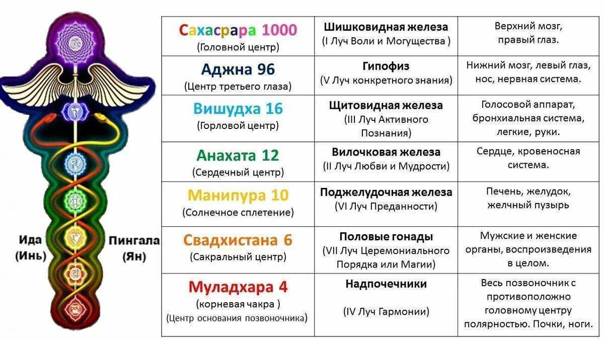 Цвета чакр человека и их значение