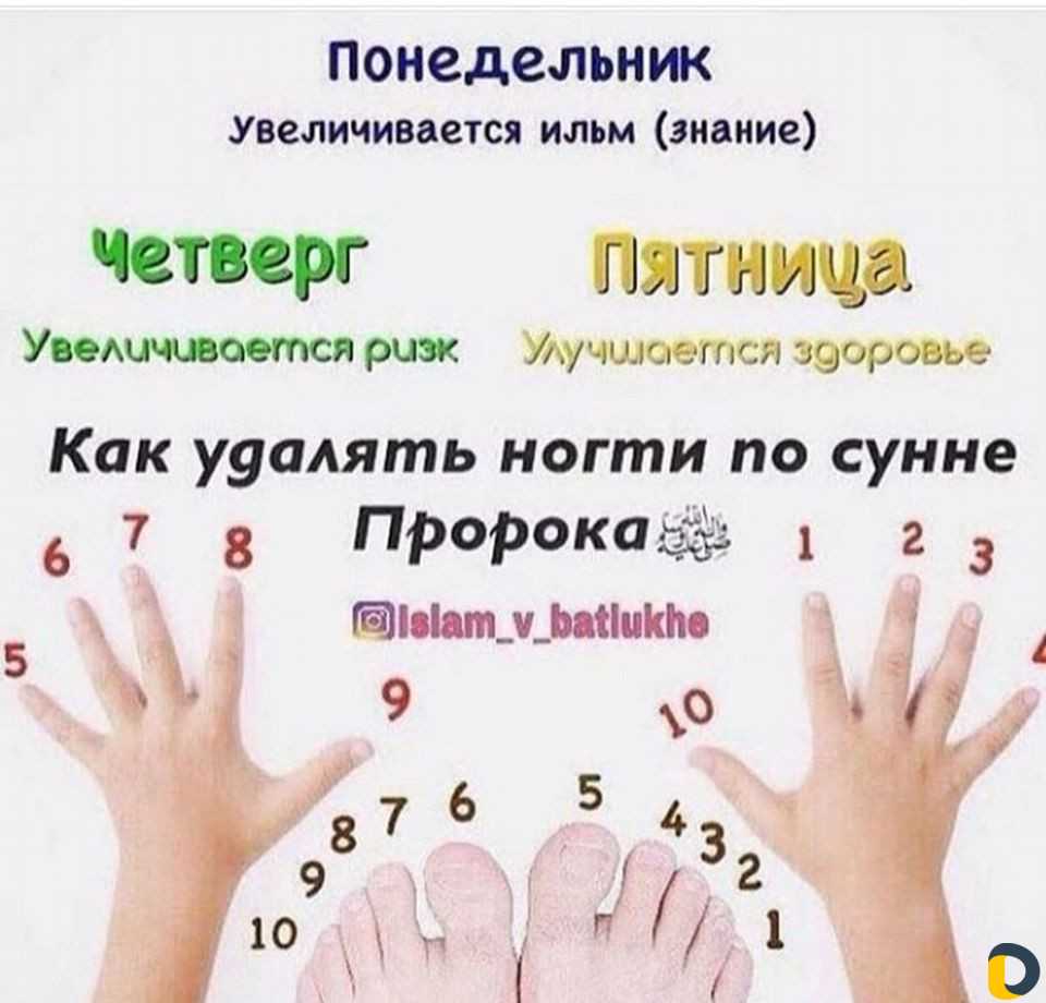 Когда стричь ногти в октябре 2025 года. Когда стричь ногти в октябре 2025 года