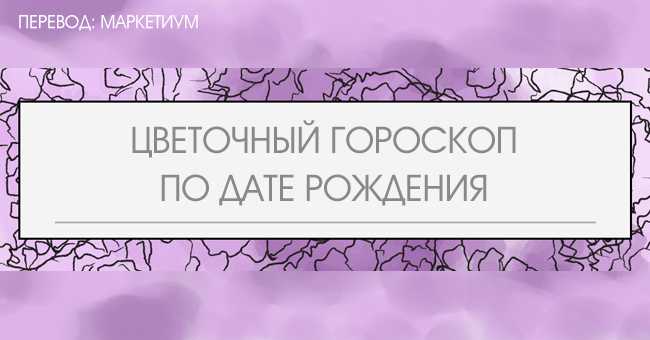 Цветочный гороскоп по дате и месяцу рождения: весенние и летние даты рождения