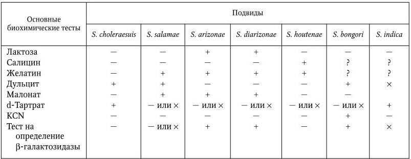 Какие стихии у знаков зодиака