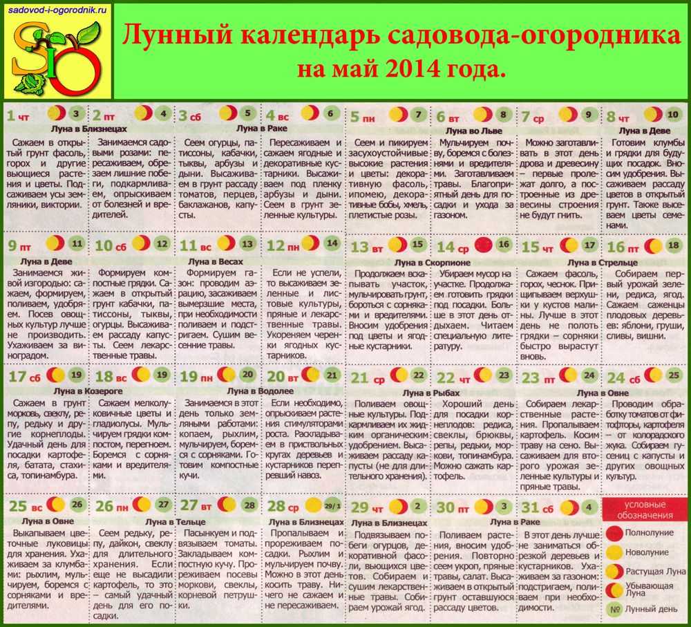 Благоприятные дни для покупок. благоприятные дни для покупок — особенности и рекомендации. какой выбрать день недели