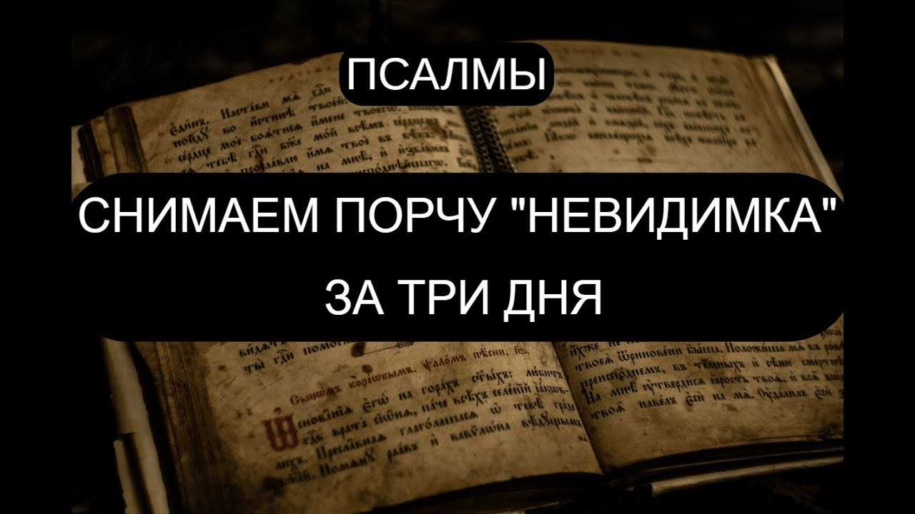 Сущности - подселенцы: классификация, избавление, профилактика