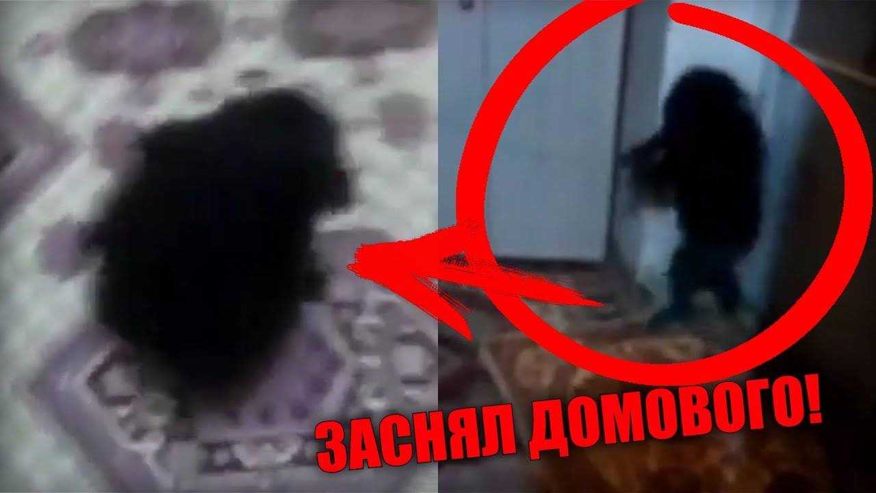 Как увидеть домового — наладьте контакт с хозяином дома