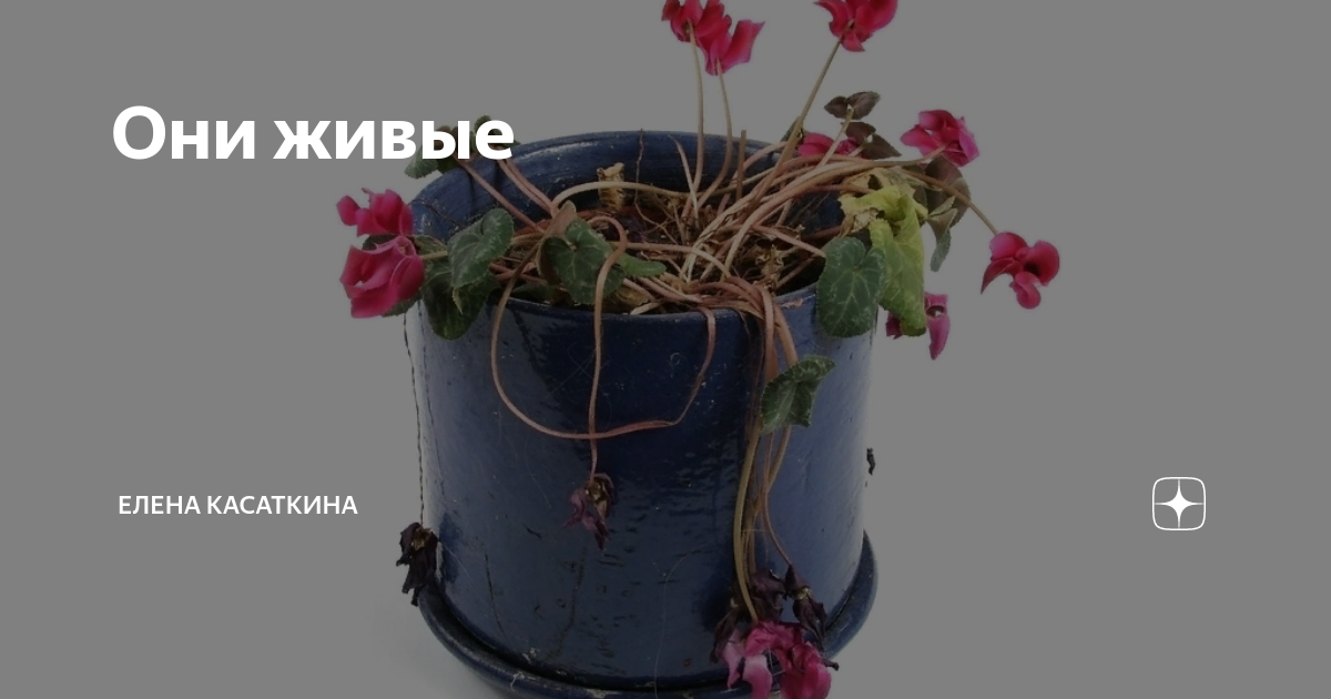 Как стать демоном