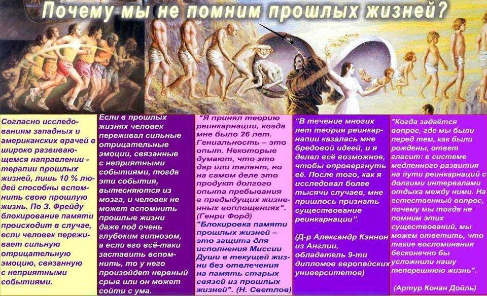 Животные: жизнь после смерти. — обсуждение в группе "разговоры обо всем" | птичка.ру
