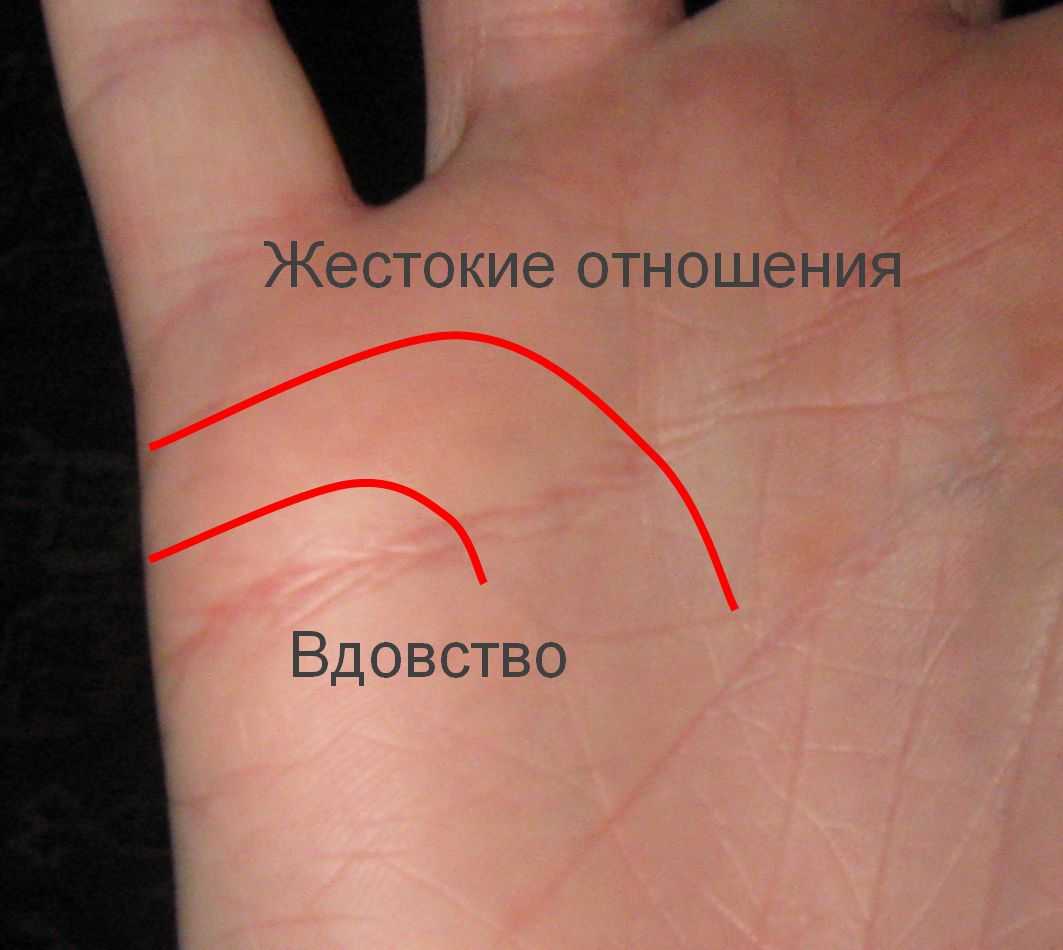 Линия любви и брака на ладони - примеры и значение
