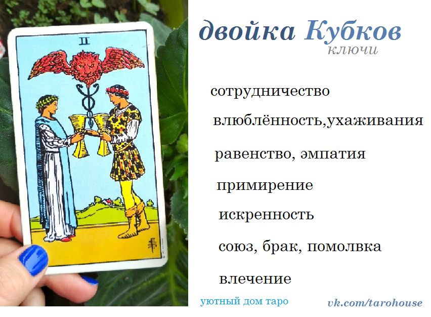 7 кубков таро: основные и второстепенные значения карты