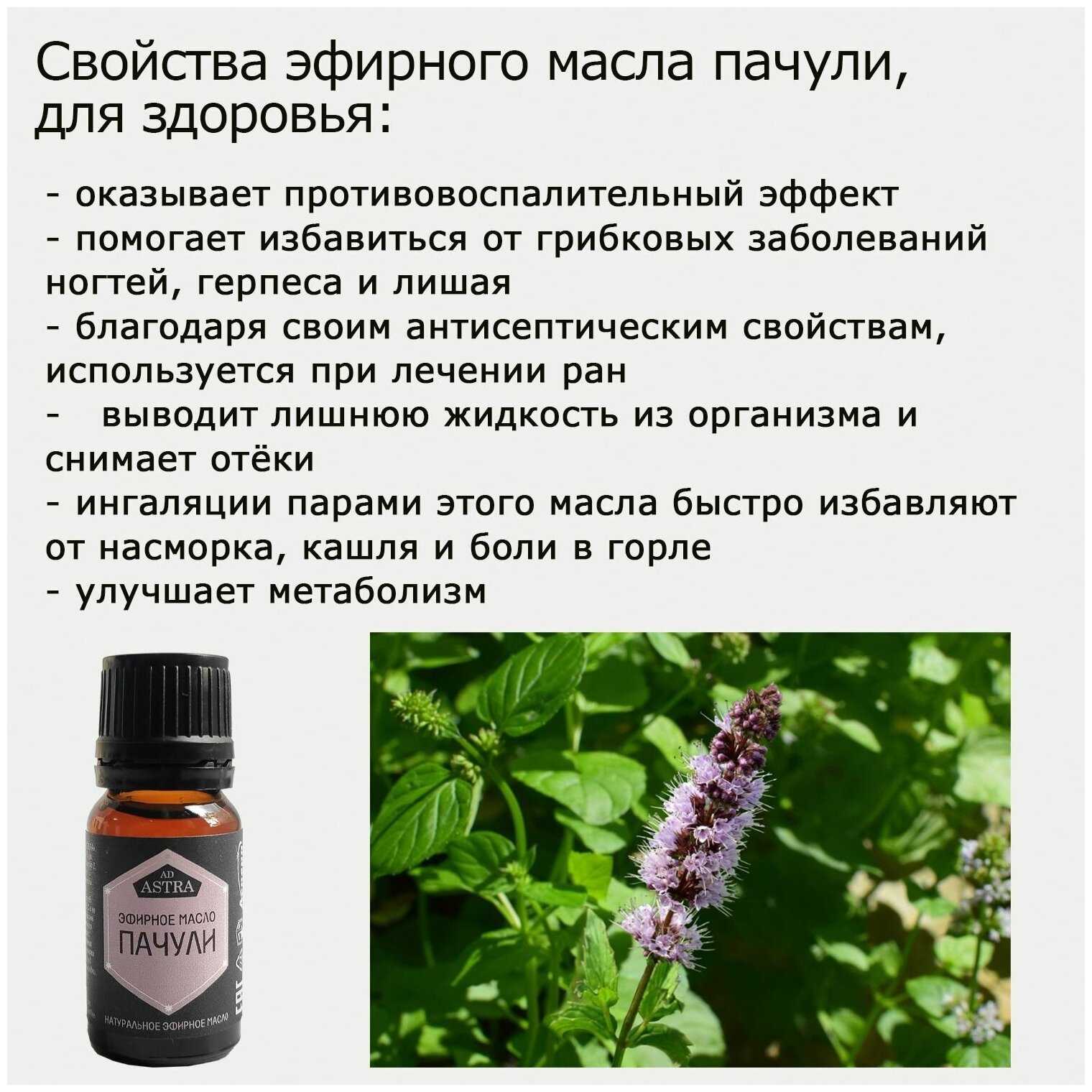 Масло пачули для денег - полезные свойства и секреты применения