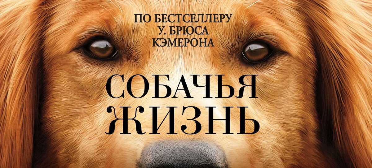 Заговор на хорошую память и на яснуй ум. заговор на улучшение памяти