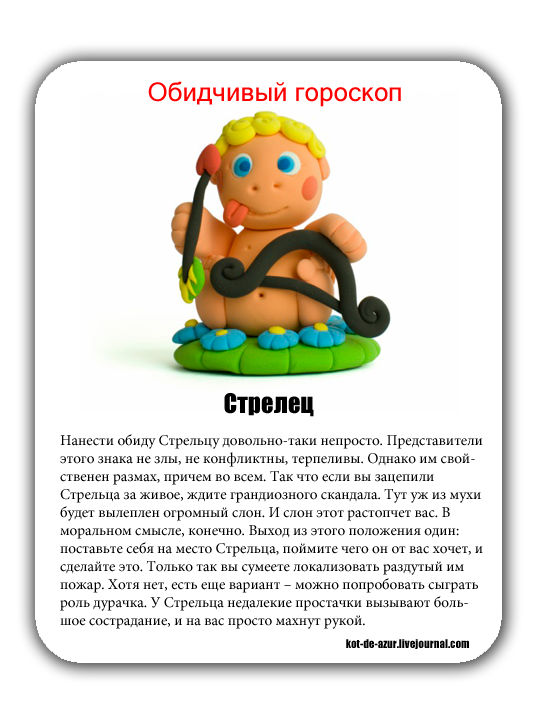 Самые обидчивые животные, которые все равно остаются милыми