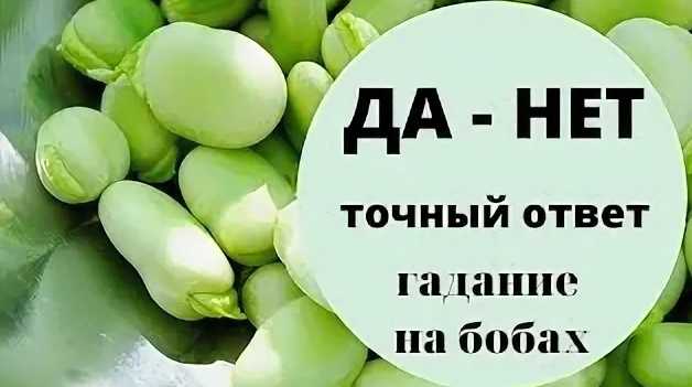 Гадание на бобах подготовка к кумалак ашу, значение кучек и способы толкования, рекомендации и отзывы