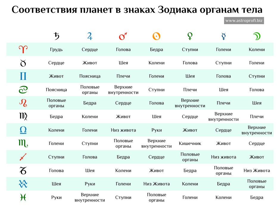 Знаки зодиака по месяцам в западной и ведической астрологии. в чем различия? 