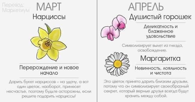 Цветочный гороскоп по дате и месяцу рождения: весенние и летние даты рождения . милая я
