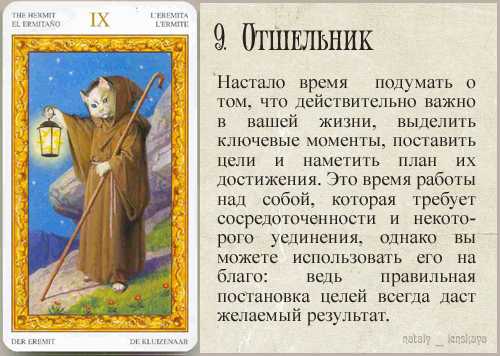 Особенности таро разновидности белых кошек