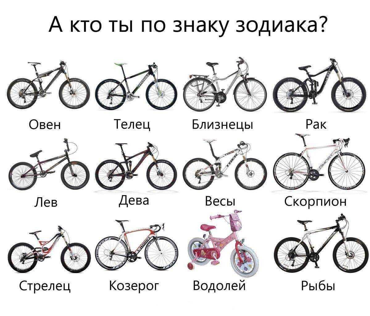 Вот с каким хищным животным можно сравнить женщин разных знаков зодиака