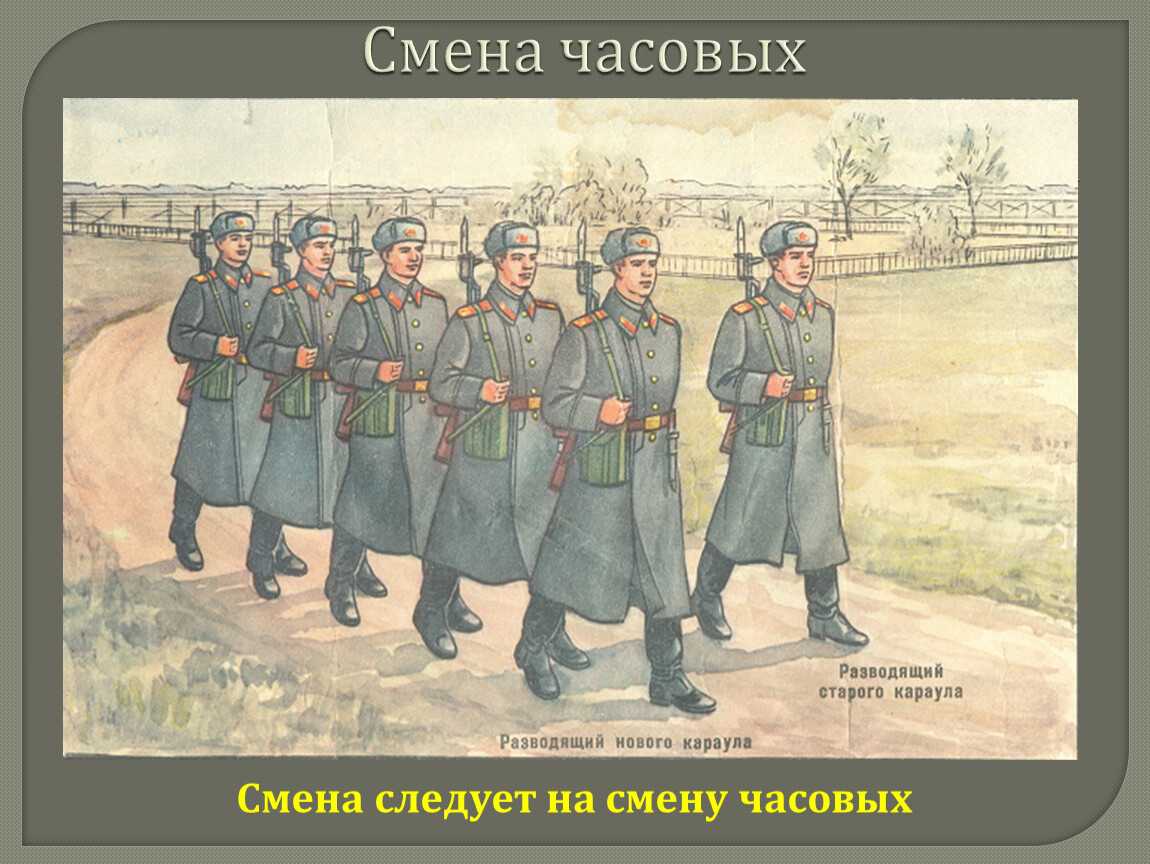 Смена караула на красной площади: описание, традиции, расписание и интересные факты