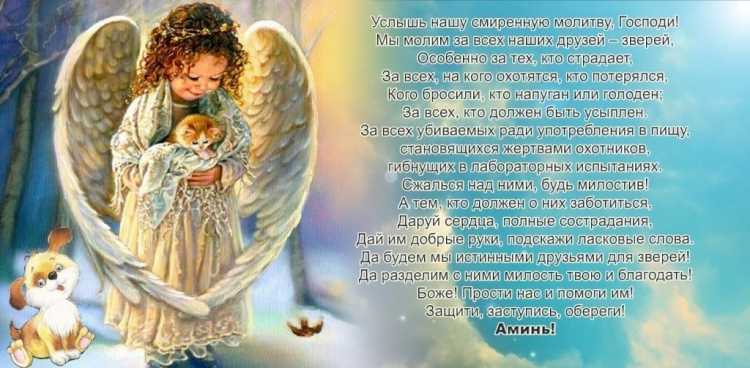 Заговоры, чтобы кот вернулся домой