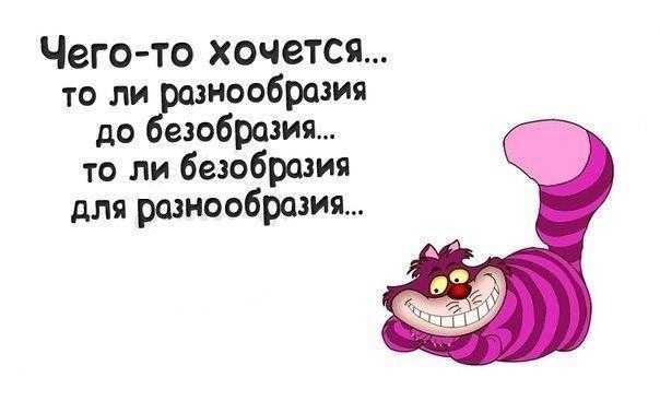 Случайностей не бывает или как мы выбираем друг друга :: инфониак