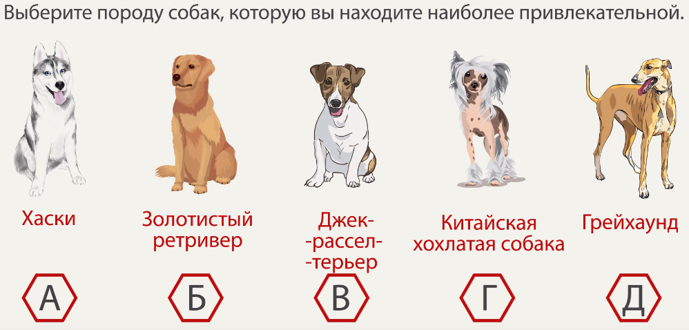 Какая вы «собака» по знаку зодиака
