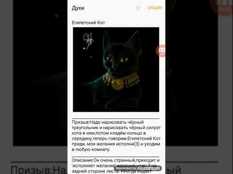Как вызвать египетского кота днем призываем исполнителя желаний Если вы хотите узнать о том как вызвать египетского кота днем вас ждет разочарование