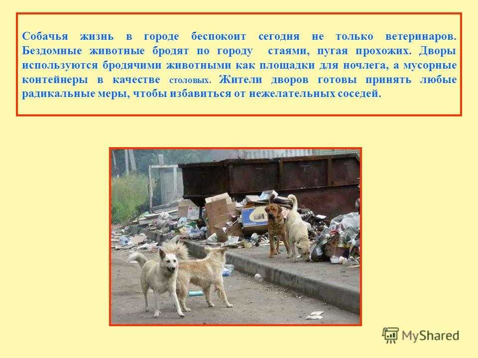 Как помочь - вместе мы справимся