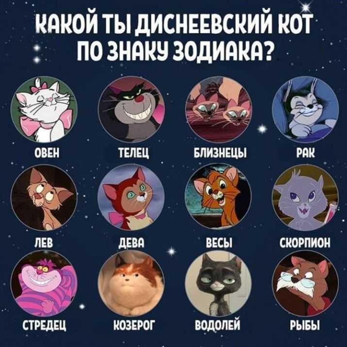 Какой знак зодиака самый лучший в разных сферах жизни | астронова