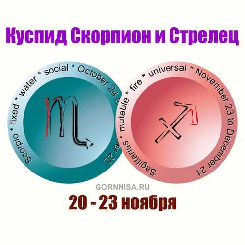 5 знаков зодиака с сильной психикой, которые могут справиться с любыми проблемами: новости, гороскоп, астрология, знаки зодиака, психика, советы, гороскопы