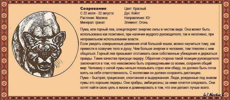 Китайский гороскоп по годом-год какого животного по восточному календарью
