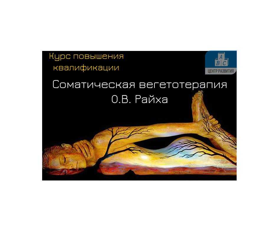 Аккумулятор райха колокольцева своими руками