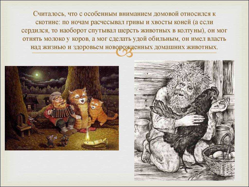 Как увидеть домового в своей квартире или доме?