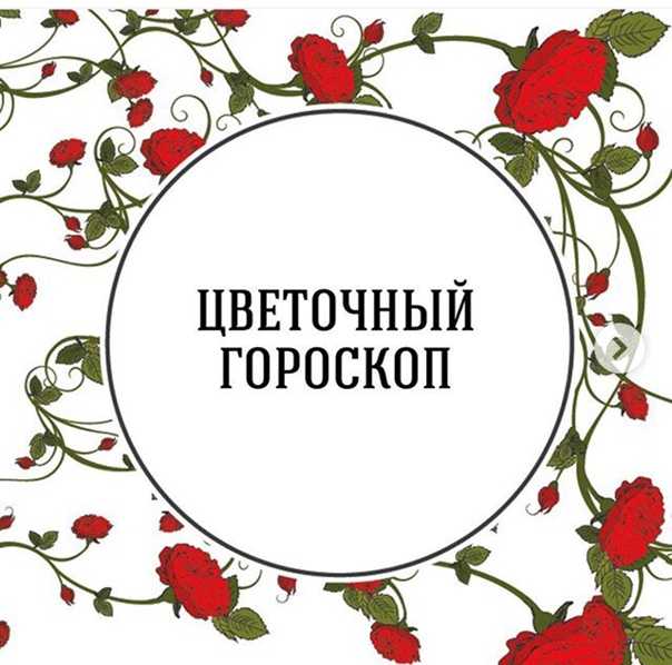 Цветочный гороскоп по дате рождения и знаку зодиака: о чем говорят цветы | дачные советы для огородников и садоводов