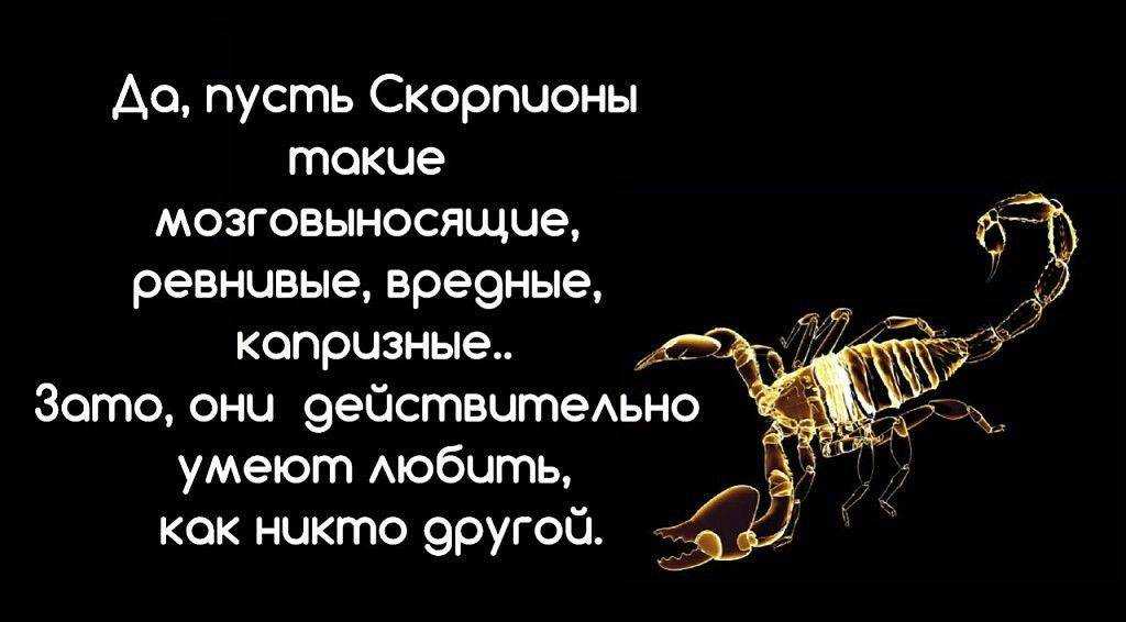 Какие из мужчин Скорпионов любовники характеристика совместимость с другими знаками зодиака какие Скорпионы в браке любви и сексе