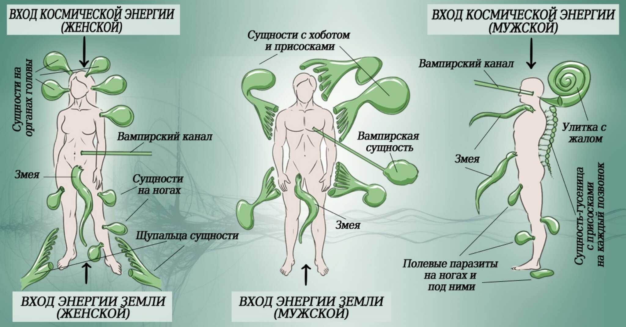 Что можно видеть с закрытыми глазами