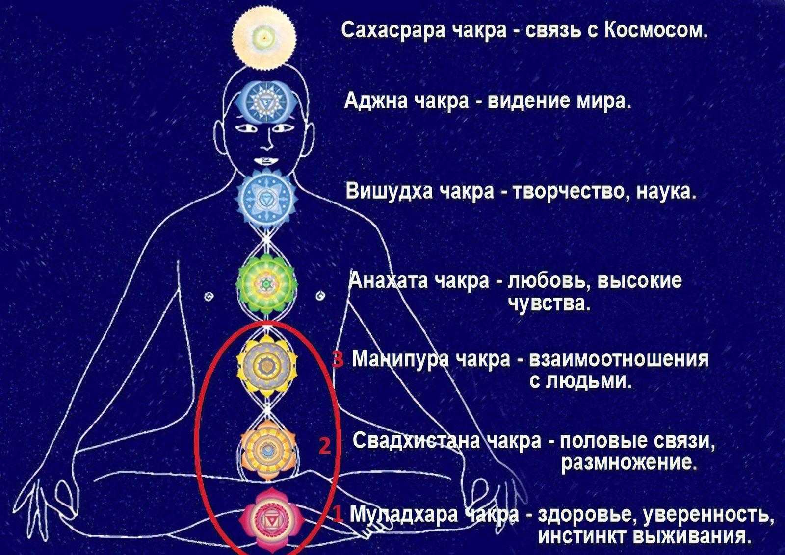 Чакра муладхара: признаки блокировки и как активировать?