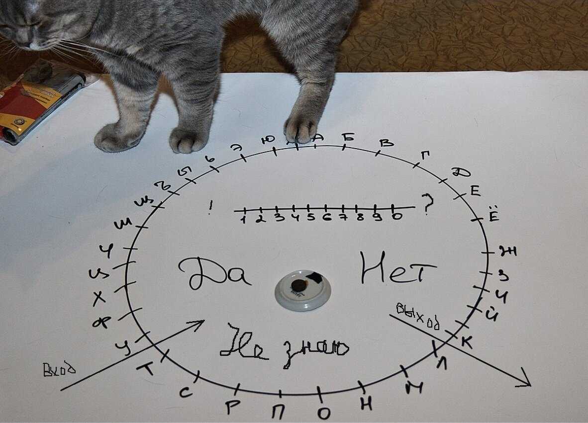 Как гадать на блюдечке?