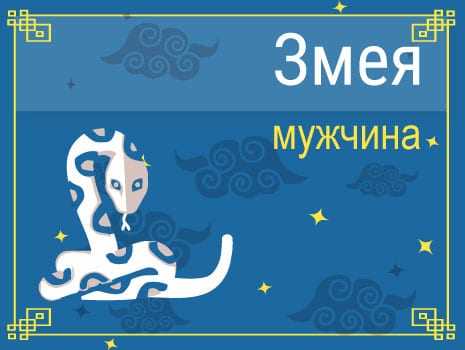 Год лошади по китайскому гороскопу — характеристика мужчин и женщин, рожденных в год лошади. совместимость лошади с другими знаками восточного зодиака
